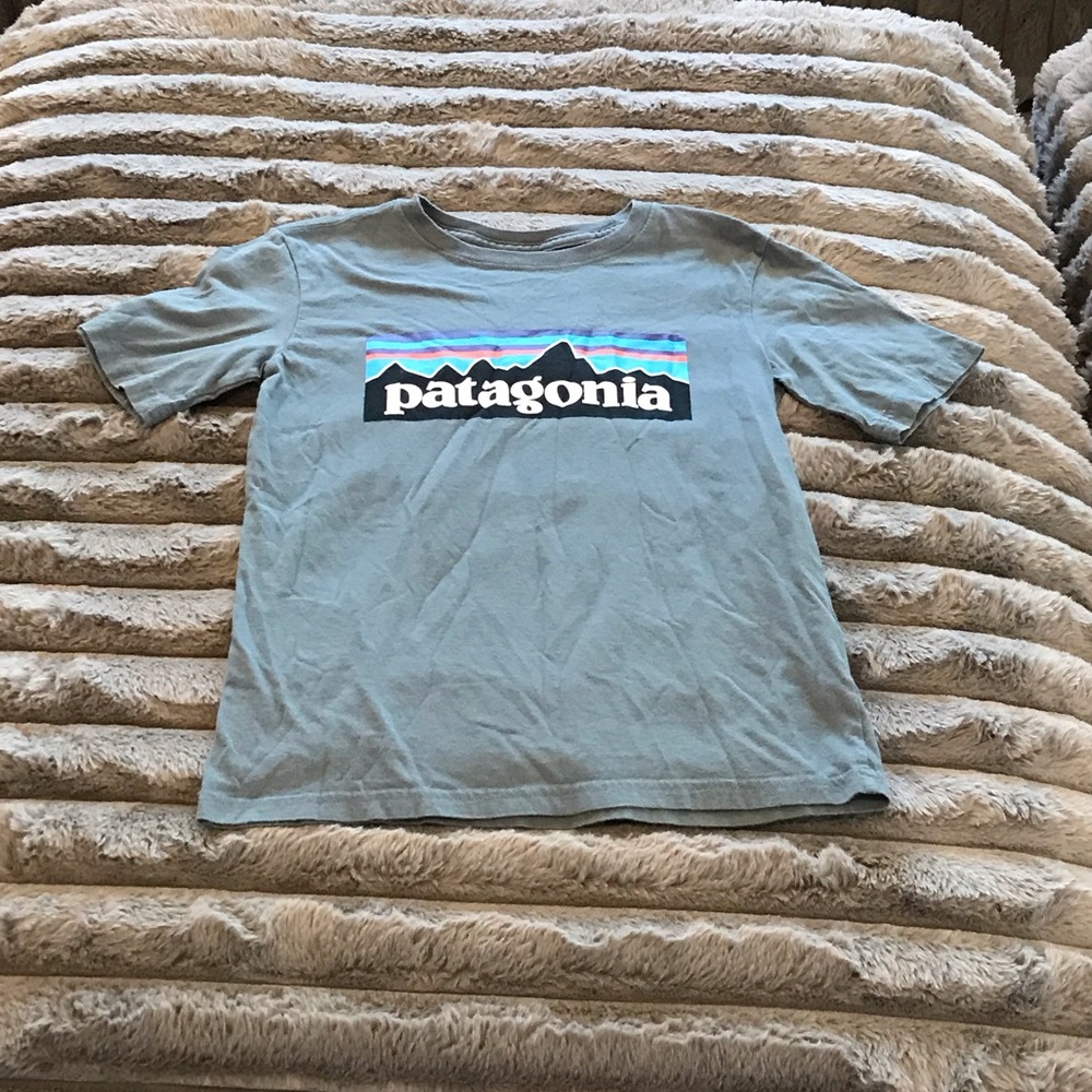Patagonia Blue Graphic Tee